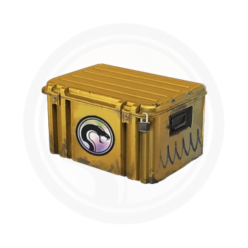 Кейс «Гремучий кейс»